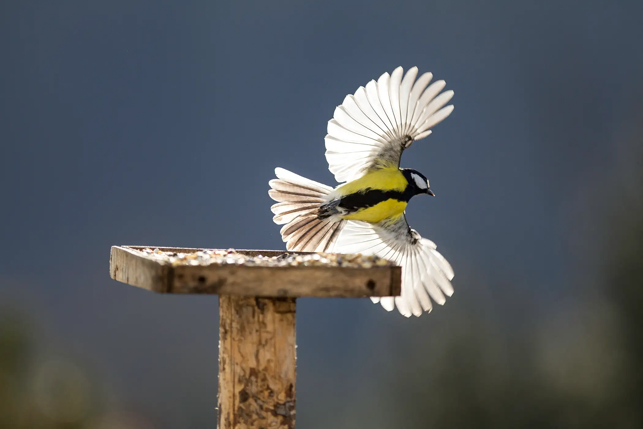 Stammtisch im Holzhauser Tal